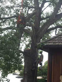 20160729_100559.webp 20160729_100559.webp