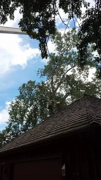 FB_IMG_1469885833710.webp FB_IMG_1469885833710.webp