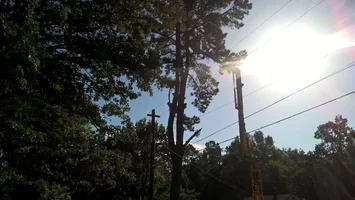 WP_20160712_08_55_11_Pro.webp WP_20160712_08_55_11_Pro.webp