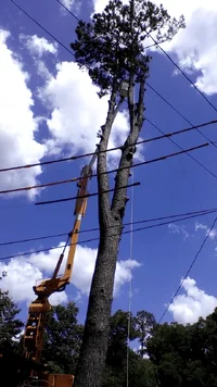 wp_ss_20160730_0001.webp wp_ss_20160730_0001.webp