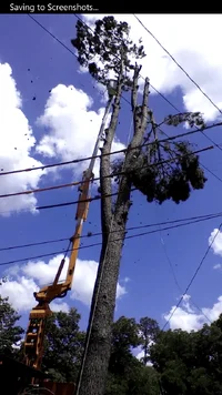 wp_ss_20160730_0004.webp wp_ss_20160730_0004.webp