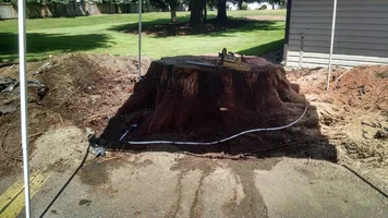 IMG_20160730_121018673_HDR.webp IMG_20160730_121018673_HDR.webp