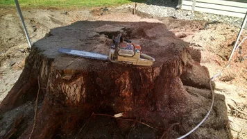 IMG_20160730_121046895_HDR.webp IMG_20160730_121046895_HDR.webp