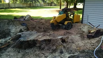 IMG_20160730_163157833.webp IMG_20160730_163157833.webp