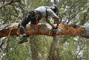 2016-07-07 20.41.38.webp 2016-07-07 20.41.38.webp