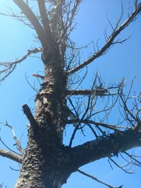 IMG_20160809_110357296-768x1024.webp IMG_20160809_110357296-768x1024.webp