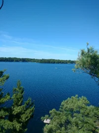 IMG_20160809_110416466-768x1024.webp IMG_20160809_110416466-768x1024.webp