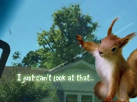 correctedimage.webp correctedimage.webp