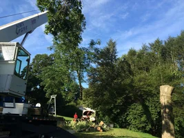 image.webp image.webp