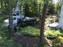 image.webp image.webp