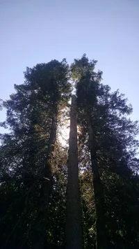 IMG_20160816_143703879.webp IMG_20160816_143703879.webp