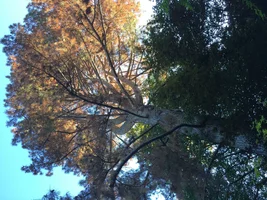 image.webp image.webp