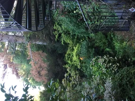 image.webp image.webp