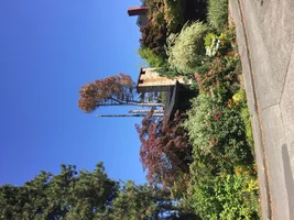 image.webp image.webp