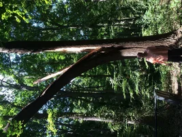 image.webp image.webp