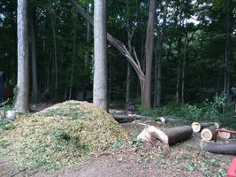 image.webp image.webp