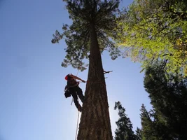 DSC04441 (1024x768).webp