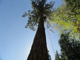 DSC04450 (1024x768).webp