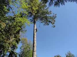 DSC04454 (1024x768).webp