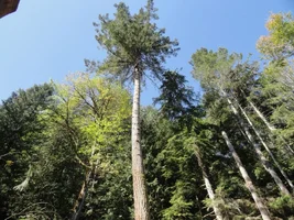 DSC04456 (1024x768).webp