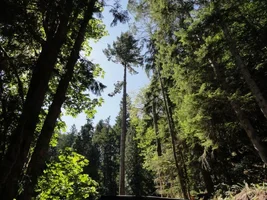 DSC04487 (1024x768).webp