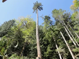 DSC04494 (1024x768).webp