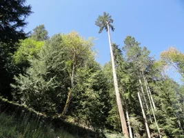 DSC04511 (1024x768).webp