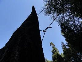 DSC04521 (1024x768).webp