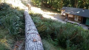 2016-08-19 20.49.51.webp