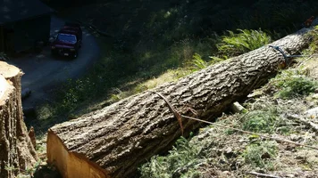 2016-08-19 20.46.44.webp