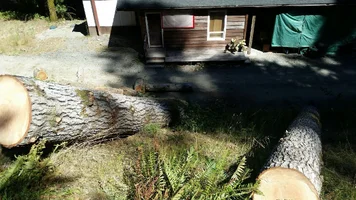 2016-08-19 20.48.54.webp