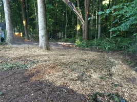 image.webp image.webp