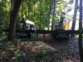 image.webp image.webp