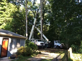 image.webp image.webp