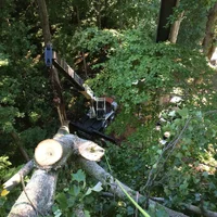 image.webp image.webp