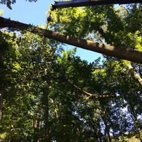 image.webp image.webp