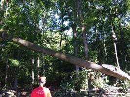 image.webp image.webp