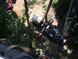 image.webp image.webp