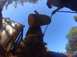 TL000565 (1024x768).webp