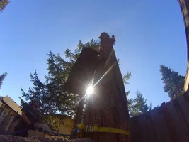 TL000761 (1024x768).webp