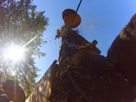 TL000528 (1024x768).webp