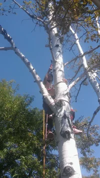 0917161341.webp 0917161341.webp