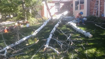 0917161515.webp 0917161515.webp