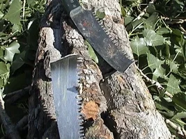 37977-Handsaw2.webp
