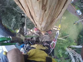 GOPR2493.webp GOPR2493.webp