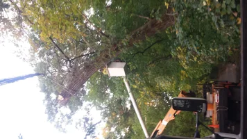 20161014_184307.webp 20161014_184307.webp