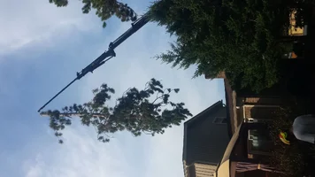 20161005_160808.webp 20161005_160808.webp