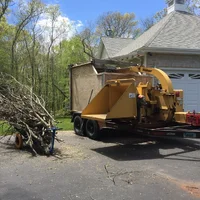 Chipper 1.webp Chipper 1.webp