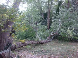 5 on the ground.webp 5 on the ground.webp