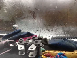 Stupid Cold Bone.webp